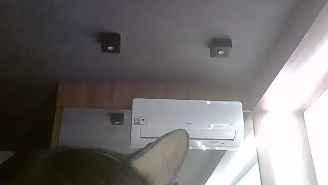 SkinnyKitten webcam
