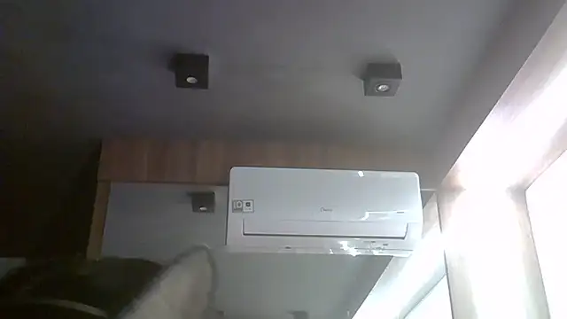 SkinnyKitten webcam