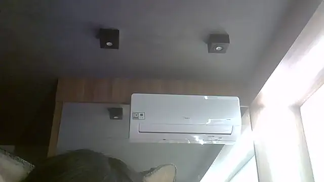 SkinnyKitten webcam