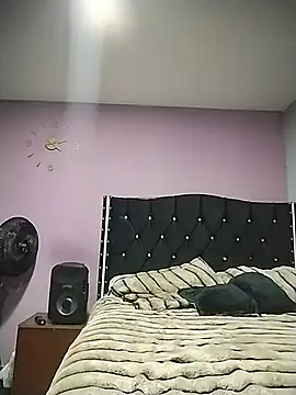 Pacomaster webcam