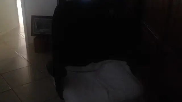 joeydee1 live cam on StripChat