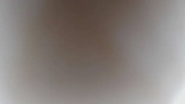 Naturfreund1965 webcam