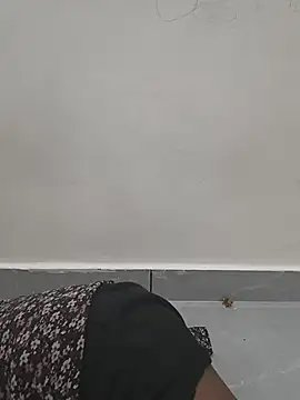 SA-K-SHI webcam