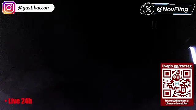 SegZac webcam