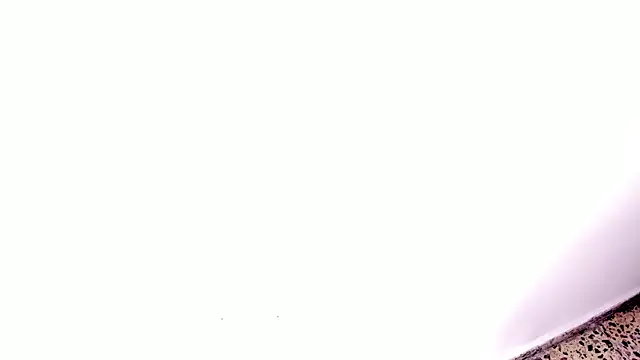 silvanadelatorre webcam