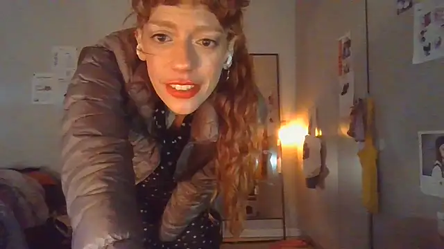 plsmecha webcam