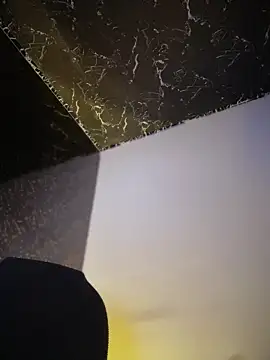 Sasha-firee webcam