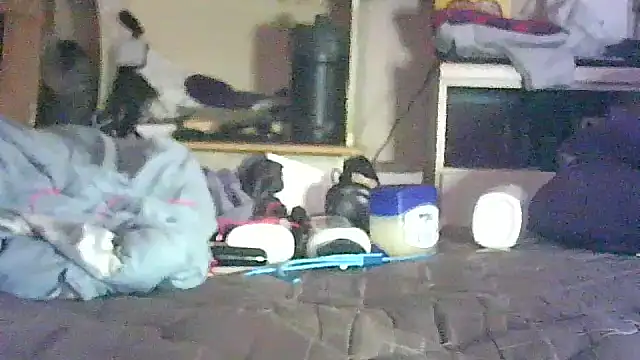 _P3RKY_IMMORTAL3_FIR3_ webcam