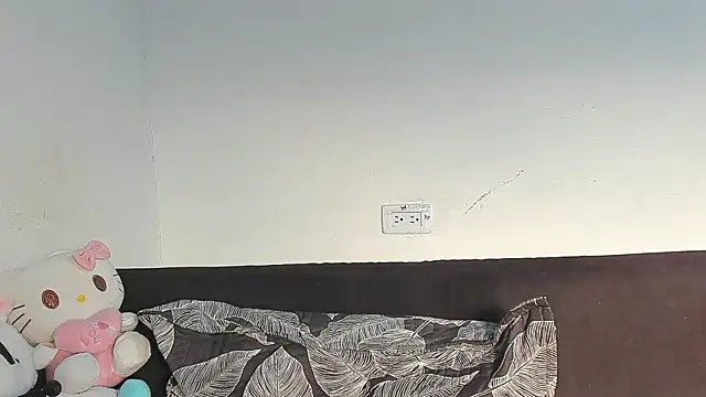 Eirlysx webcam