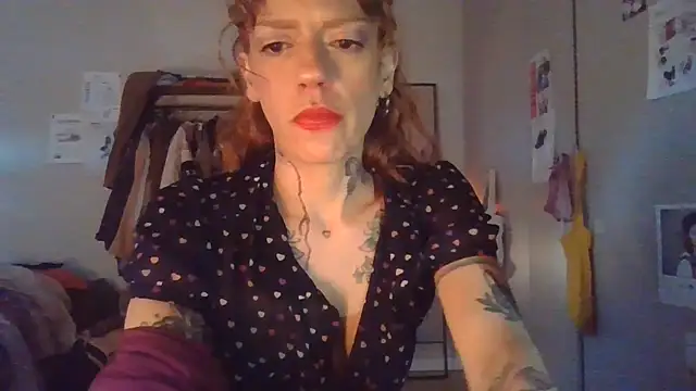 plsmecha webcam