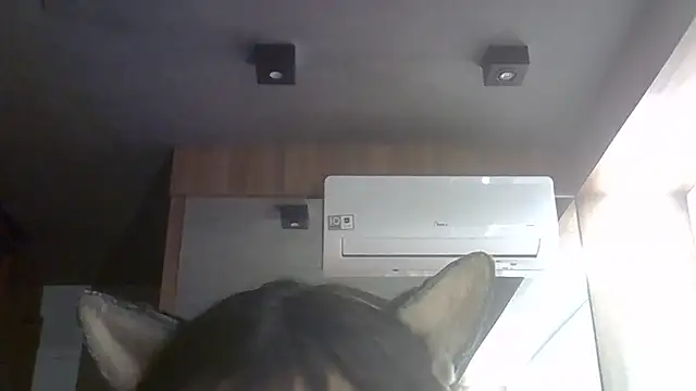 SkinnyKitten webcam