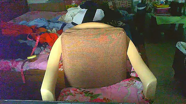 Vbestshow webcam