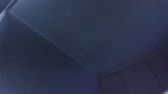 SaraAndrade_ webcam
