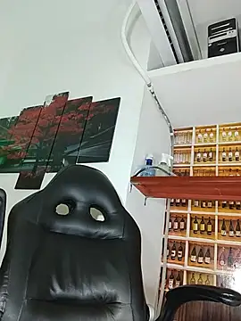 _Shirley_ webcam