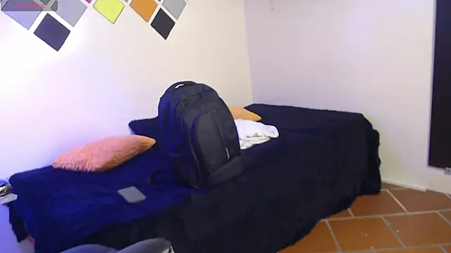 Ryan_grayx webcam