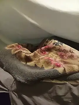 chocolatebebs2 webcam