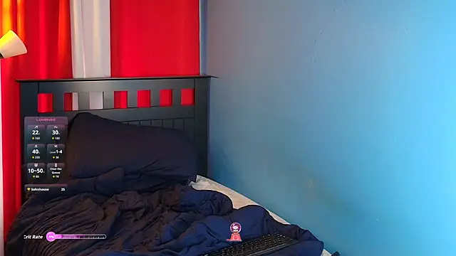 lefty15242 webcam
