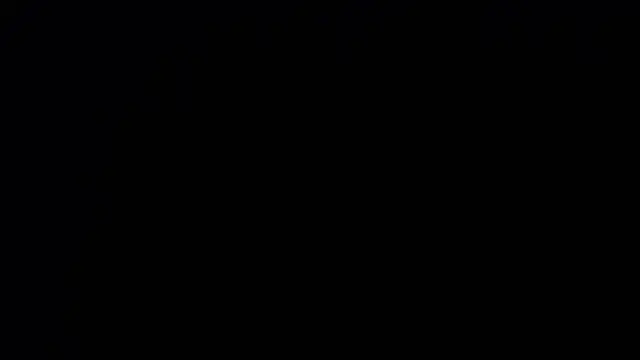 zacwatson_ webcam