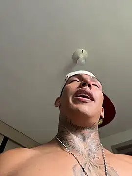 sendfer webcam
