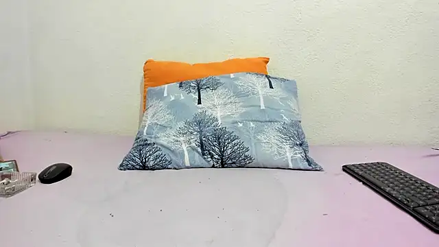 Kedicigi_Miyavlat webcam