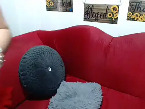 MAIA_2016_ webcam