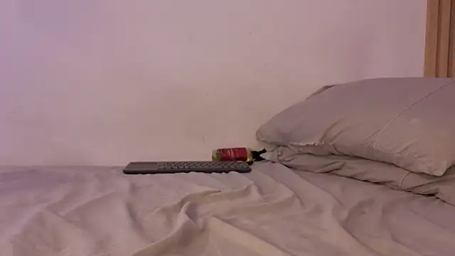 sofiesoft webcam