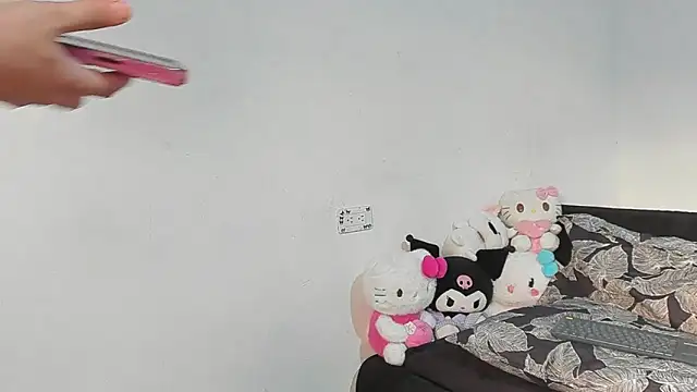 Eirlysx webcam