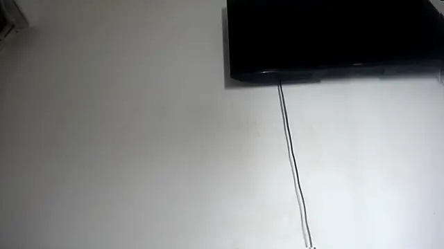 Fox_Loves