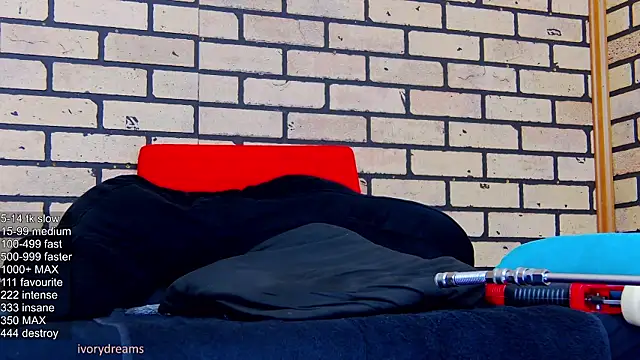 IvoryDreams webcam
