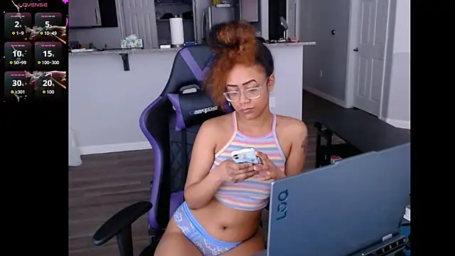 ReeseZen webcam