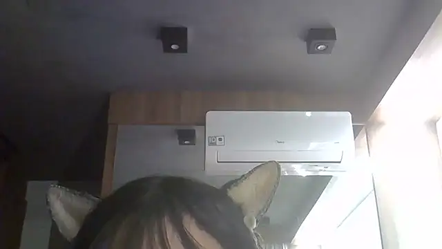 SkinnyKitten webcam