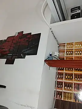 _Shirley_ webcam