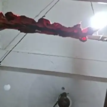 Riya45326 webcam