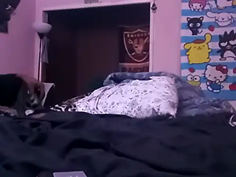 Blkstylion webcam