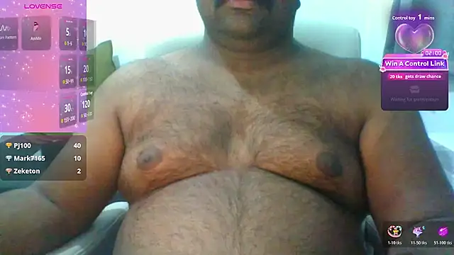 indianbearbot webcam