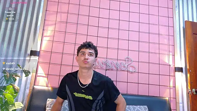 aalejo_gray webcam
