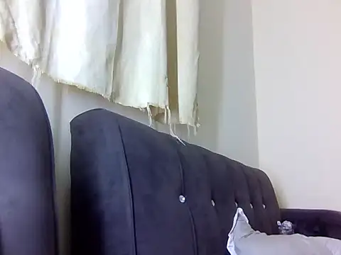 Softsinstud1 webcam