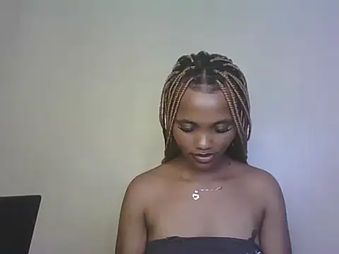 PrettyT5 webcam