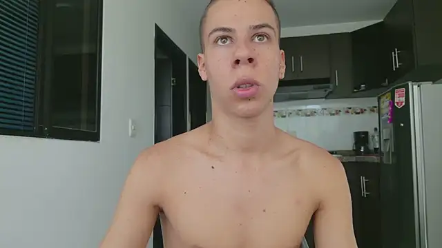 grey___27 webcam