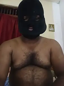 Hiptonos webcam