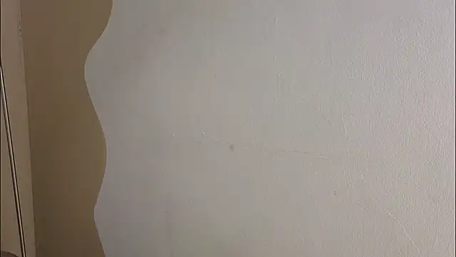 Cat_zha webcam