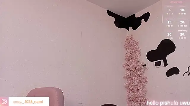 Nami_usagi webcam