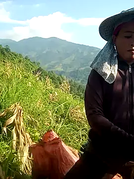 phuongtrinh1 webcam