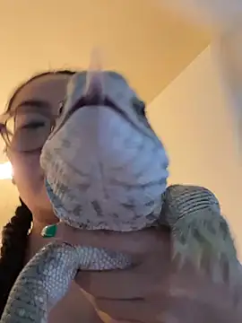 aliciahebixxx webcam