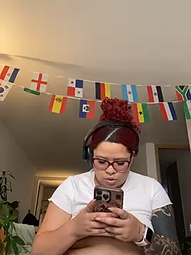 6nalanie webcam