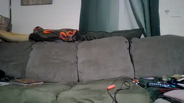 TWiSTYTheTwizted webcam