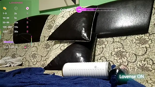 Dale_E webcam