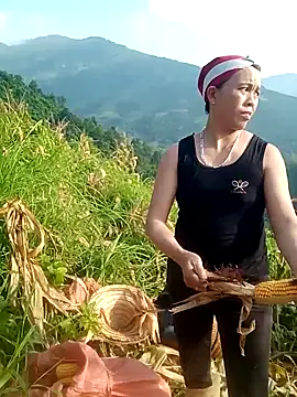 phuongtrinh1 webcam