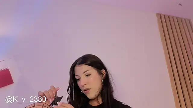 sofiesoft webcam