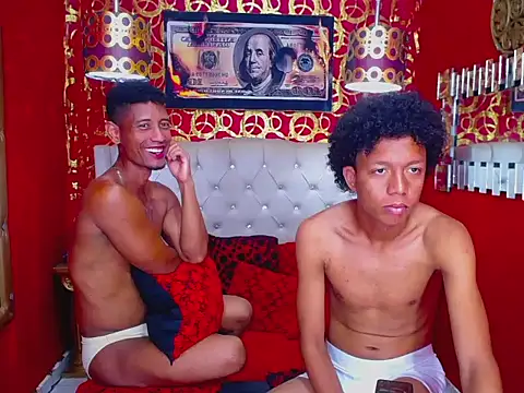 PEINBOYS webcam